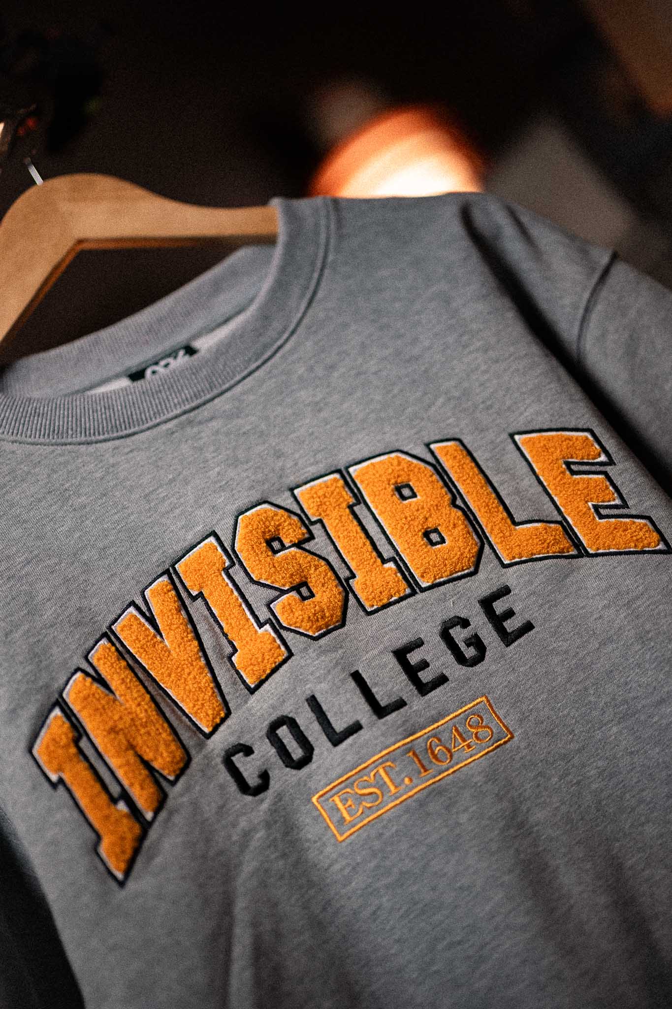 Invisible College Crewneck In Grey - Image 3