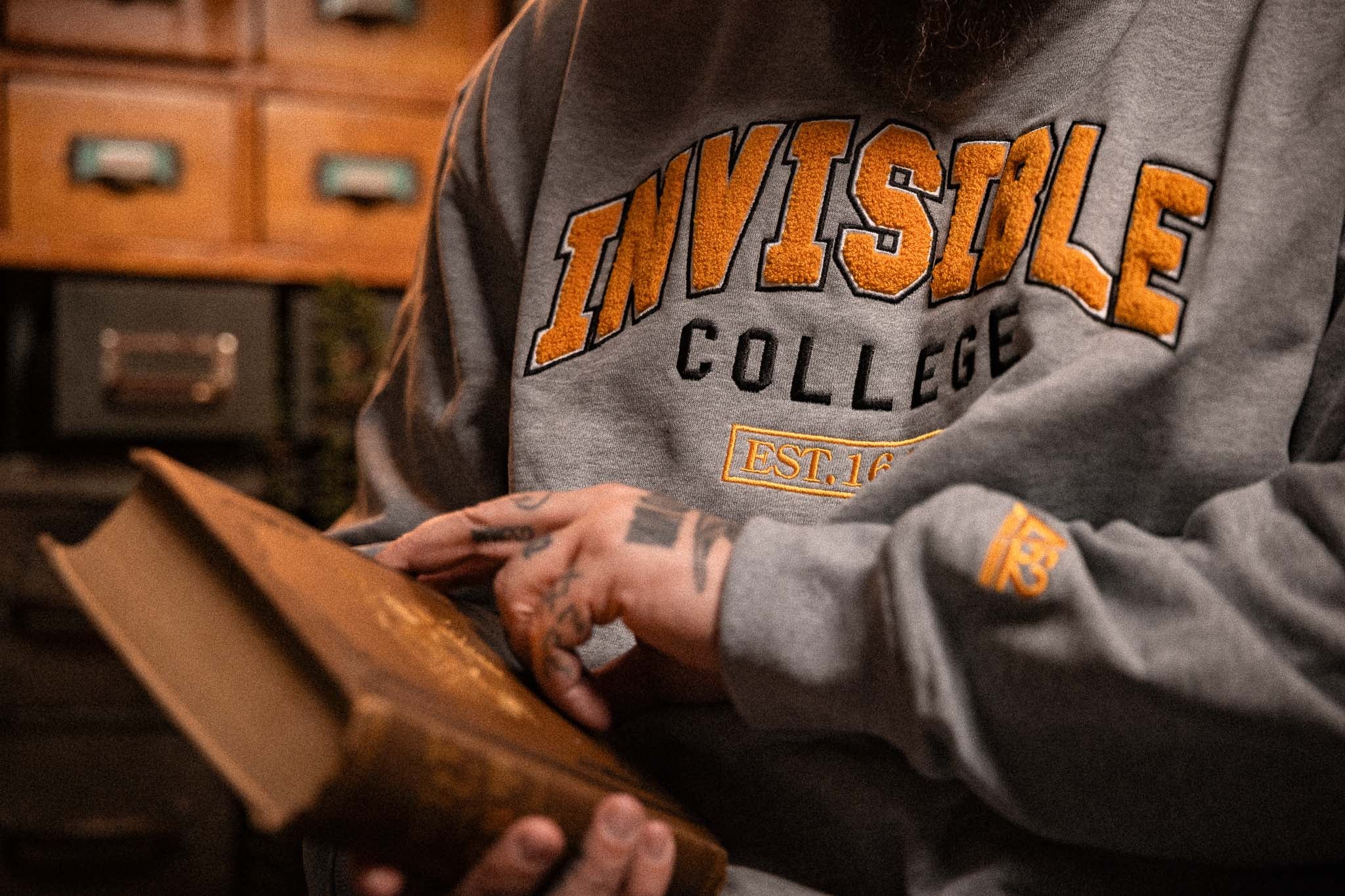 Invisible College Crewneck In Grey - Image 7