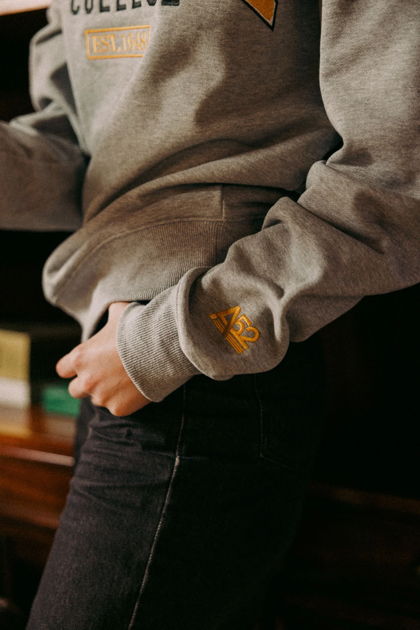 Invisible College Crewneck In Grey - Image 8