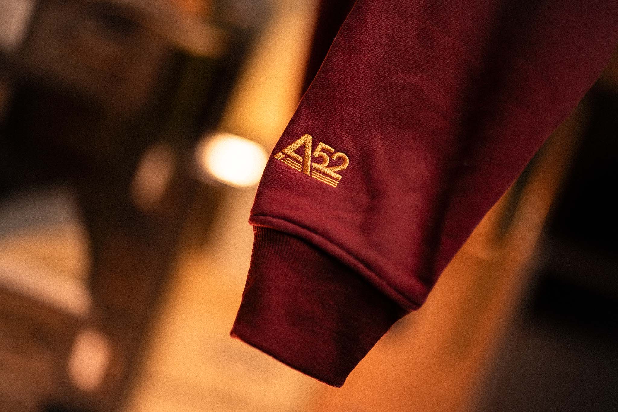 Invisible College Crewneck in Crimson - Image 13