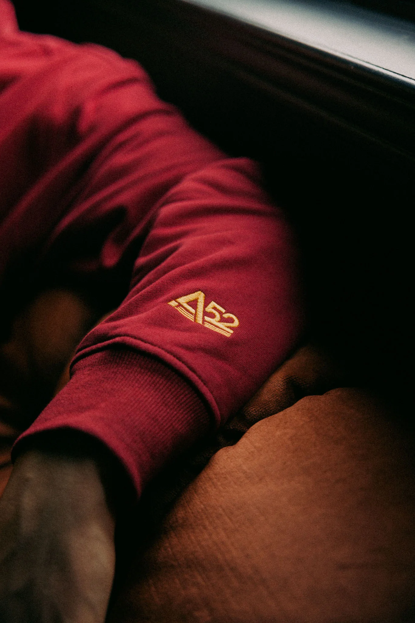 Invisible College Crewneck in Crimson - Image 9