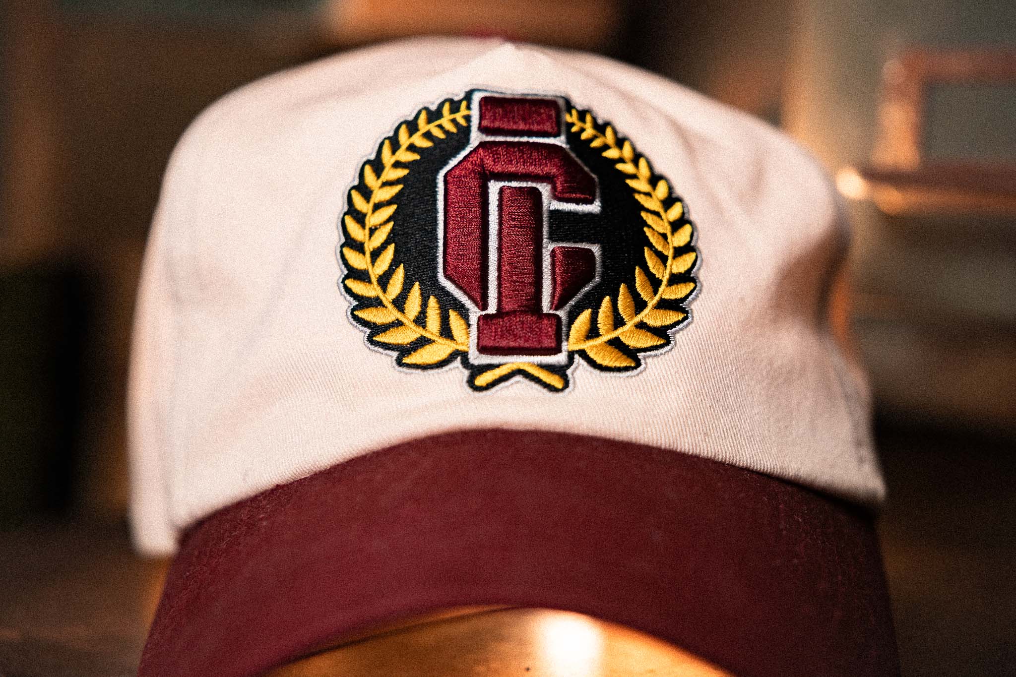 Invisible College Dad Hat - Image 4